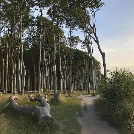 Appartamento Beachcomber Ostseebad Nienhagen